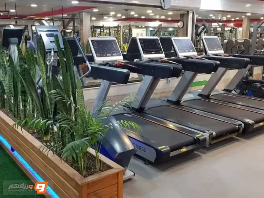 باشگاه زون (zone)