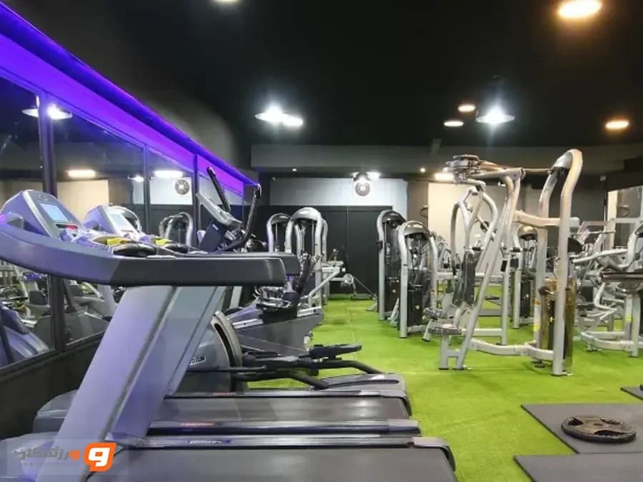 آکادمی آرنا