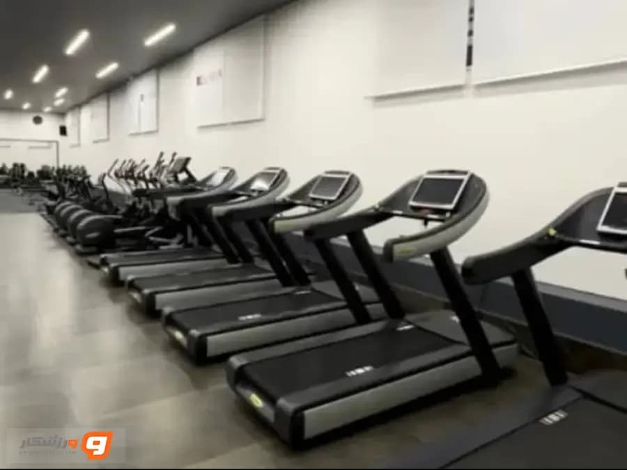 باشگاه الیکسیا (Elixia Gym)