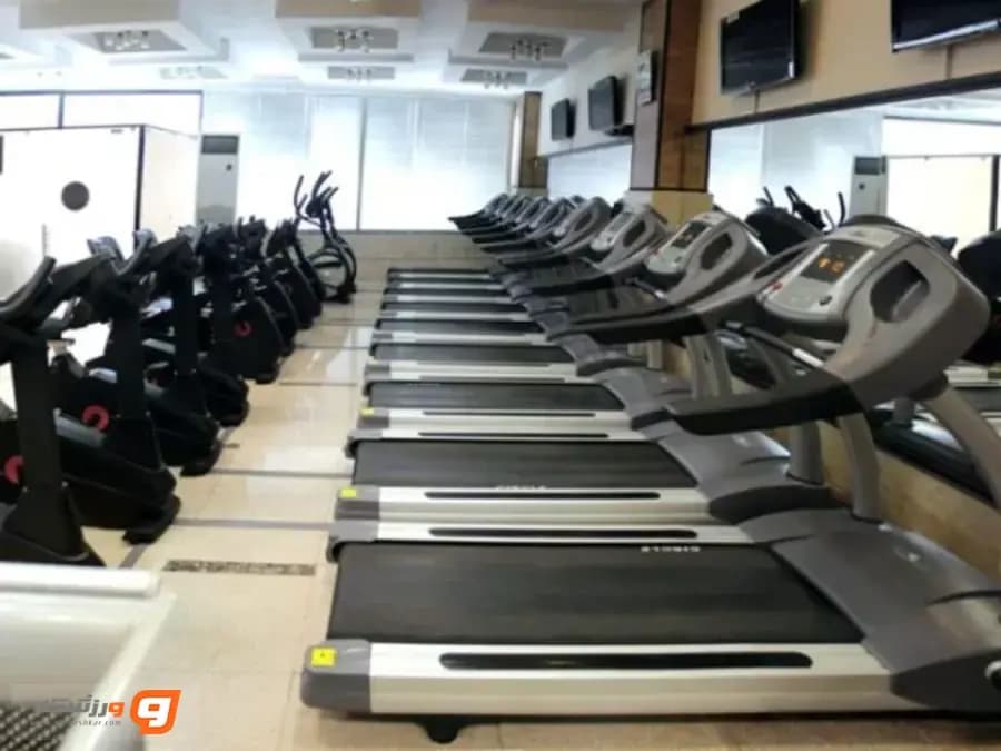 باشگاه ورزشی پایا