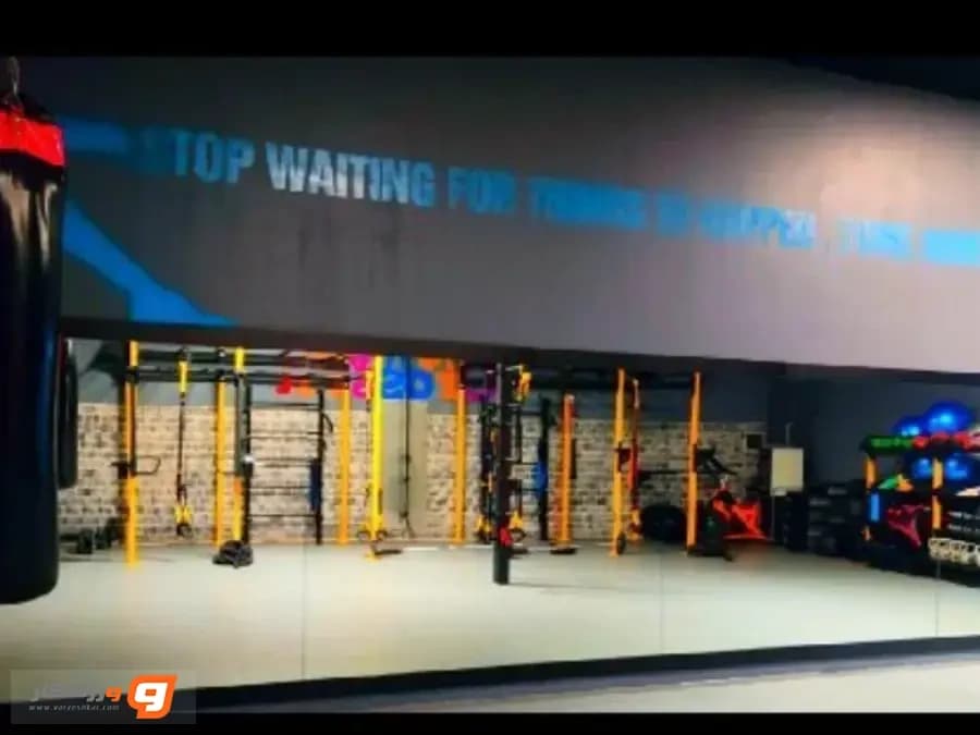 Gym Pulse
