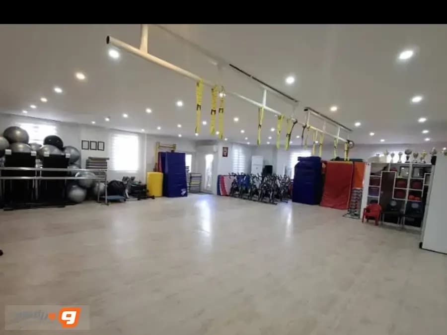 باشگاه ونوس