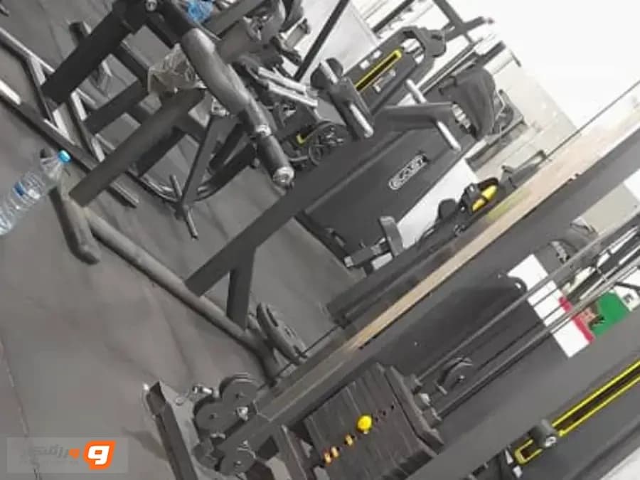 باشگاه ورزشی قائم عج