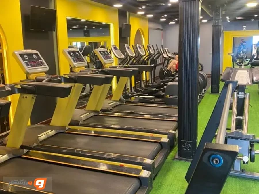 باشگاه زندگی ورزشی