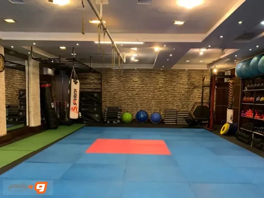 باشگاه ورزشی لیان