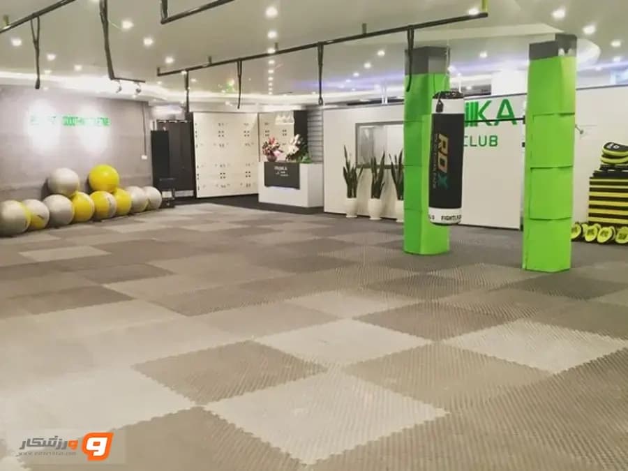 باشگاه ورزشی پانیکا