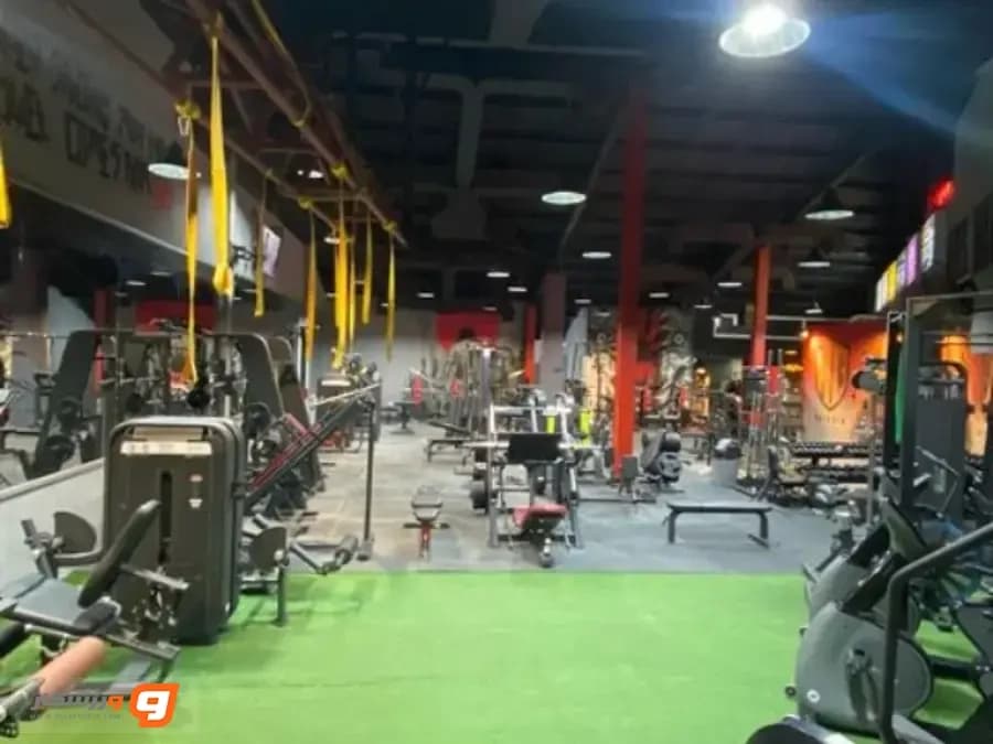 باشگاه آرس