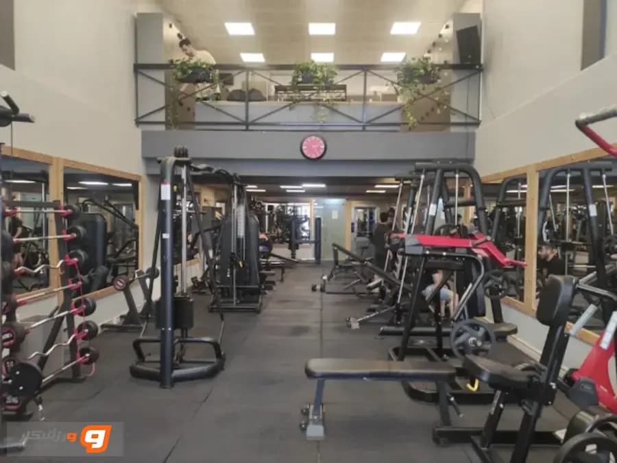 باشگاه بدنسازی راشا (Rasha Gym)