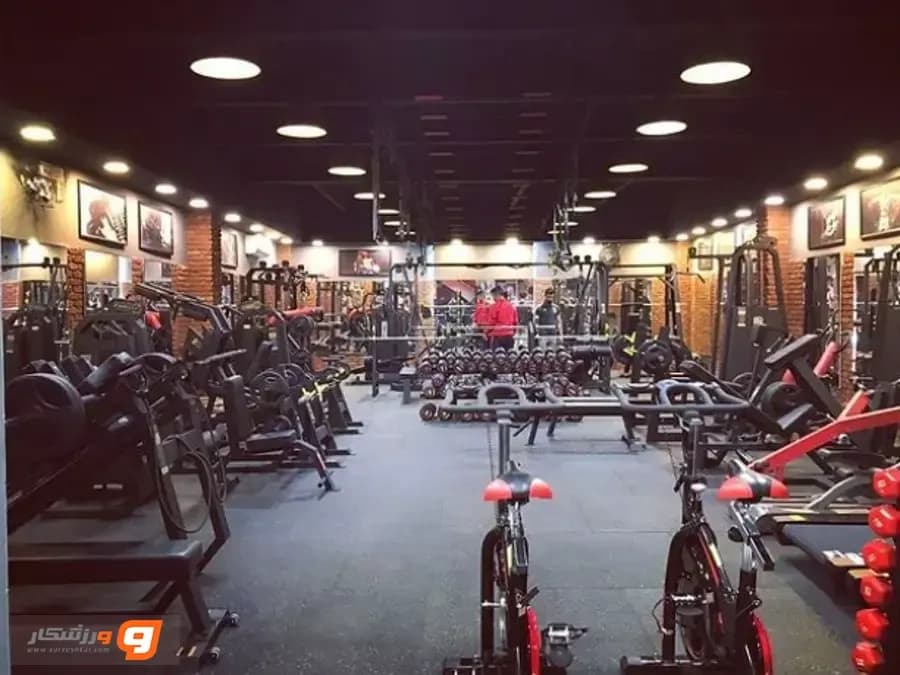باشگاه استیلا در ساری