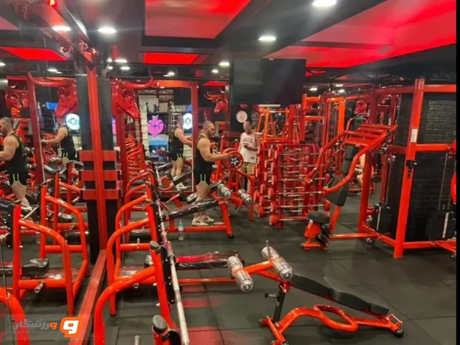 باشگاه بدنسازی شاهان