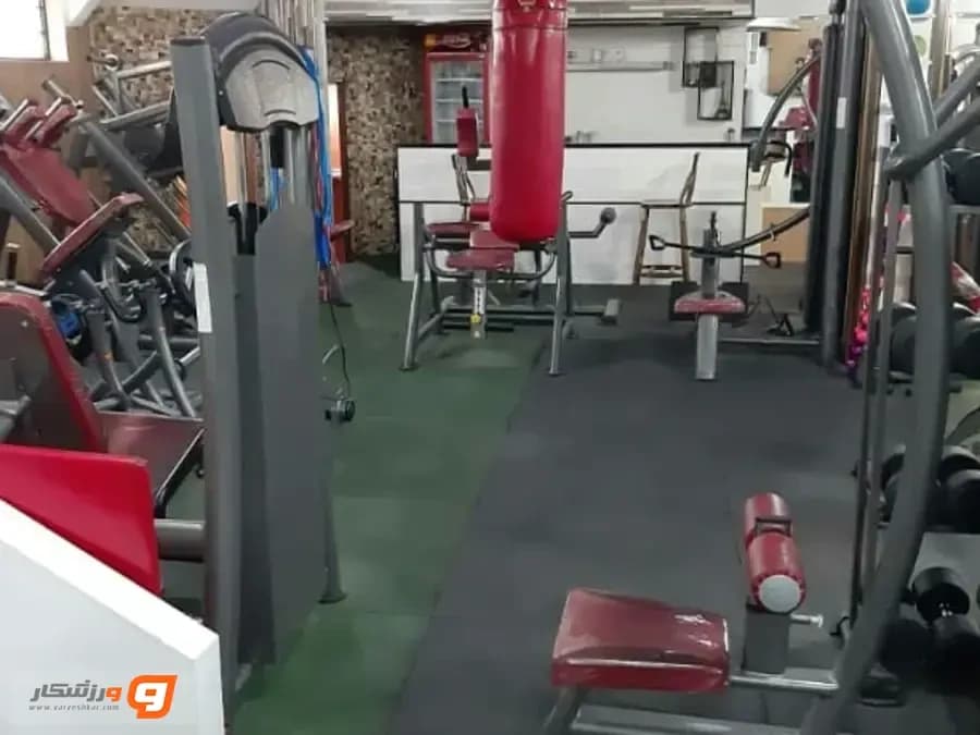 باشگاه تن ورز در ایلام