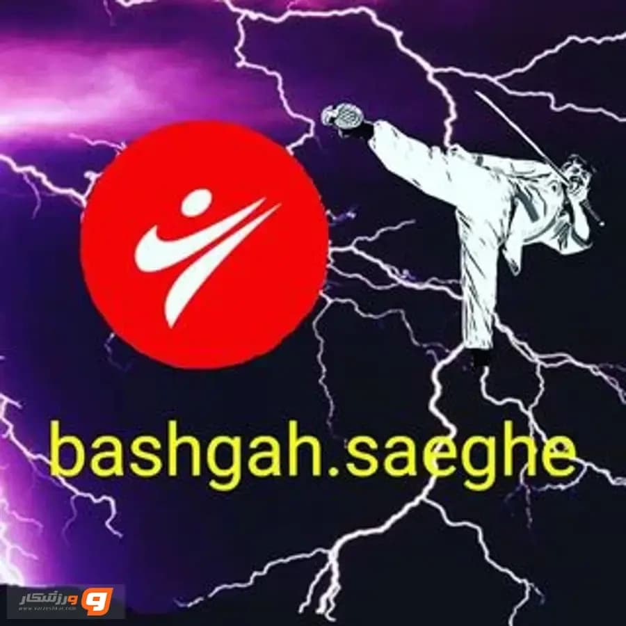 باشگاه ورزشی صاعقه زنجان