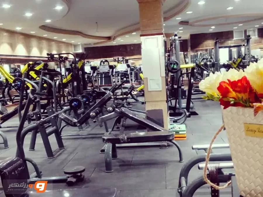 باشگاه آراز