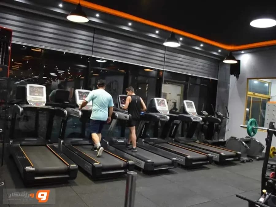 باشگاه لنا