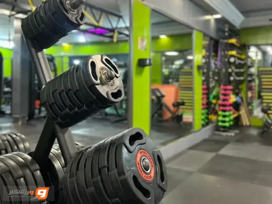 باشگاه بدنسازی هالک