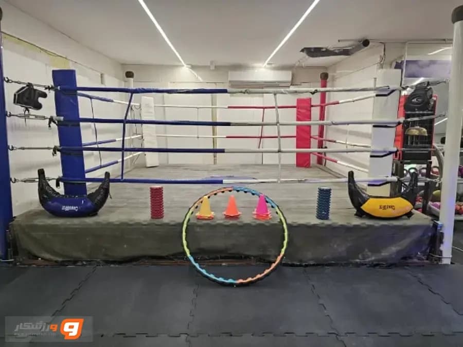 باشگاه صادقی
