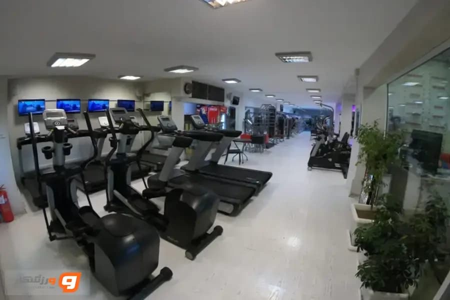 مجموعه فرهنگی ورزشی اورانوس