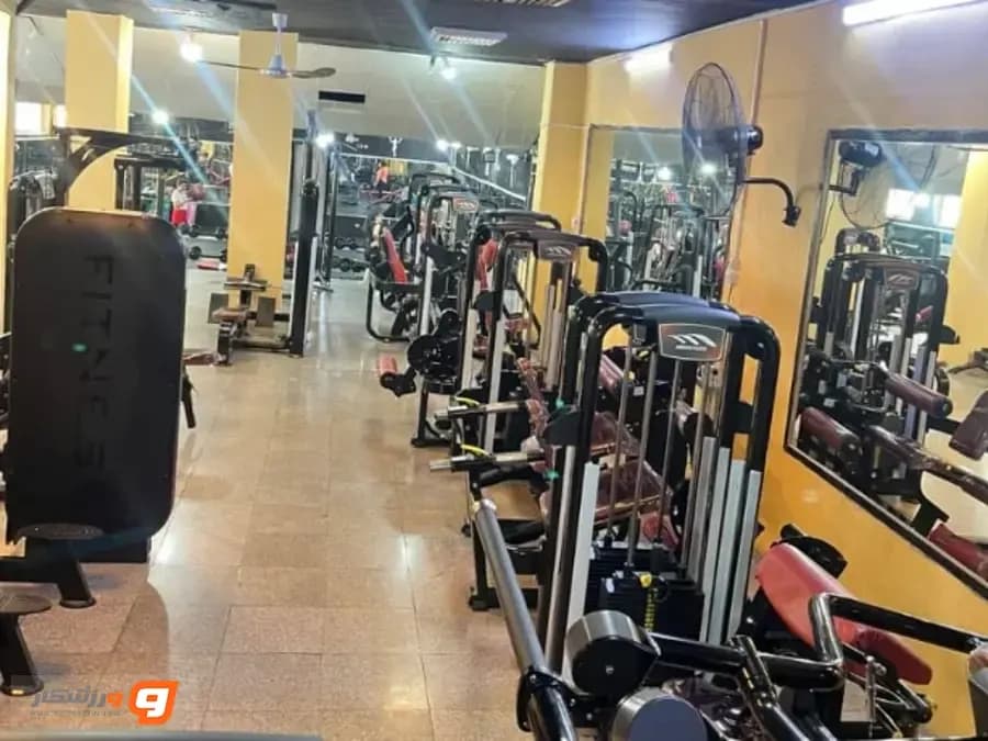 باشگاه رز فردیس