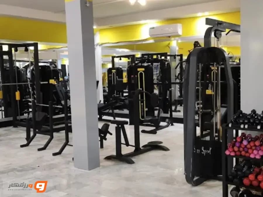 باشگاه بانوان تن تاپ