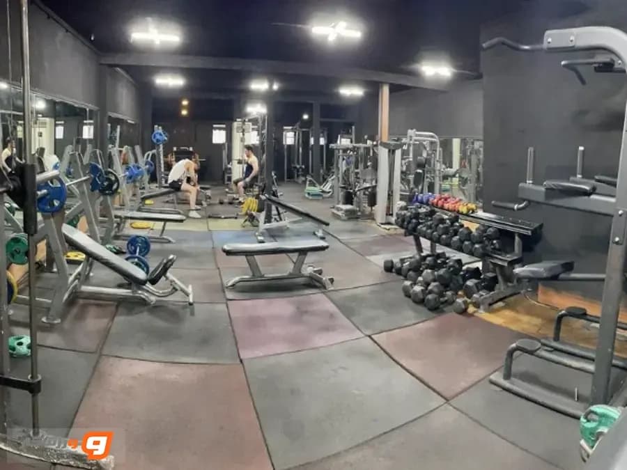 باشگاه افق در رشت