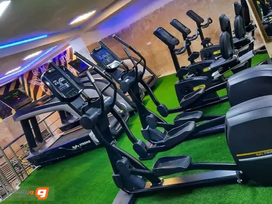 باشگاه مامو