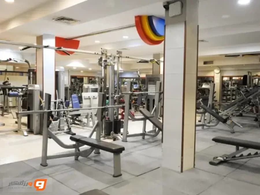 باشگاه تیم برتر