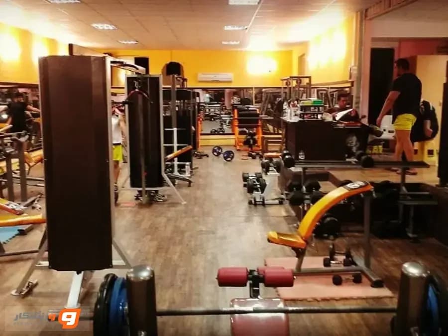 باشگاه ورزشی ققنوس