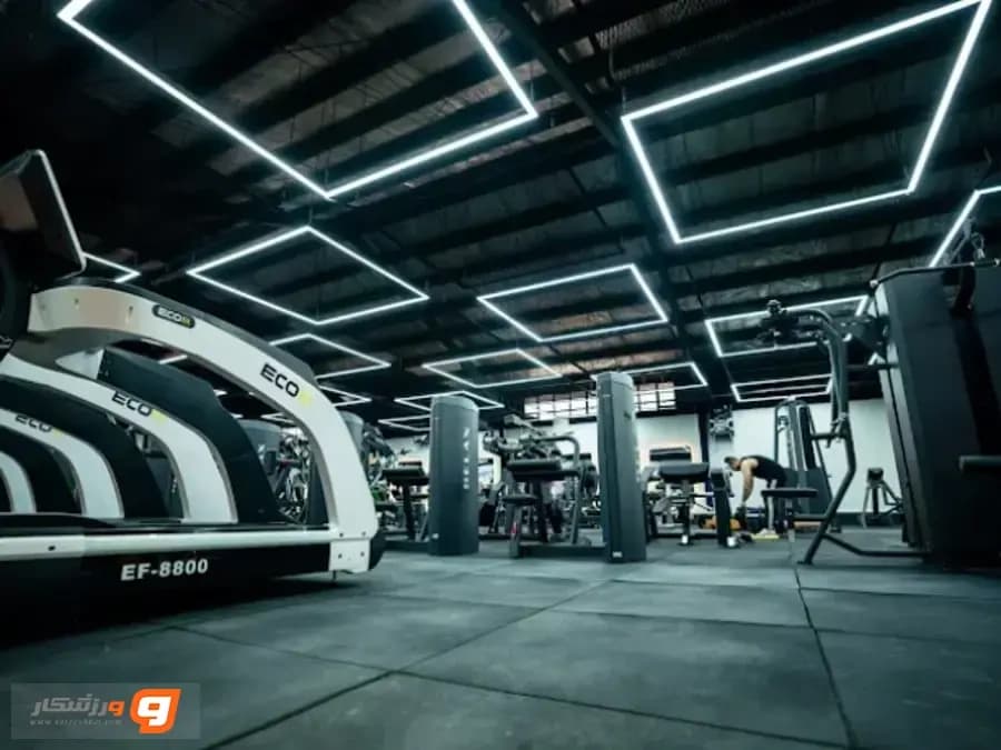 باشگاه الرو (Elro Gym) شعبه تهران نو