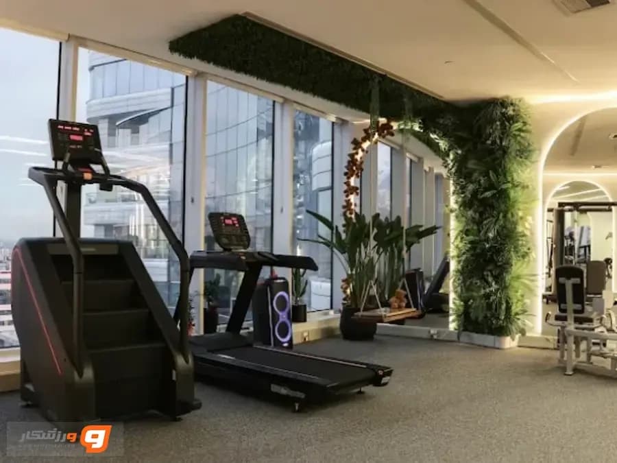 باشگاه لولو جیم (LuLu Gym)