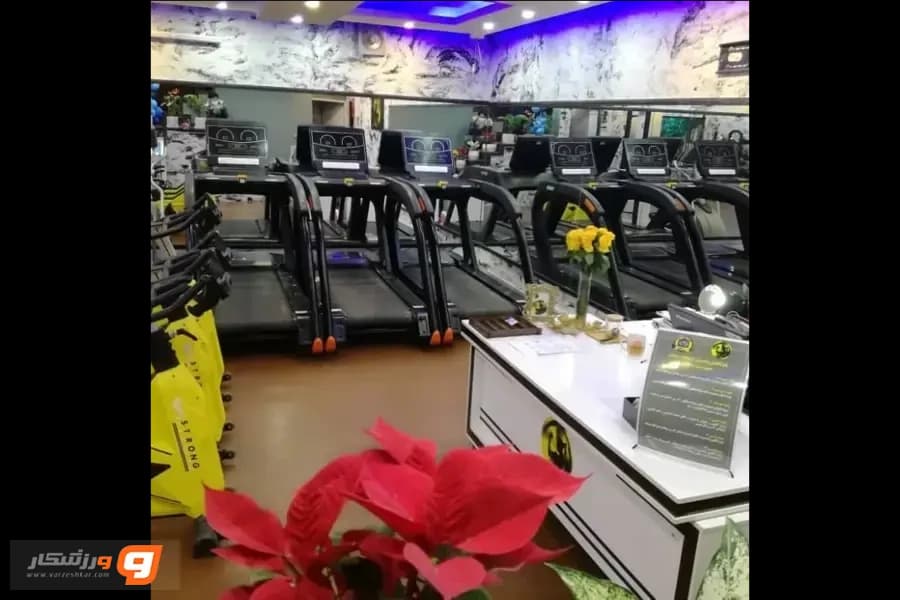 باشگاه جیم بست (gym best)