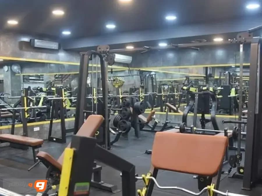 باشگاه بدنسازی سرزمین قدرت ویژه آقایان کرج
