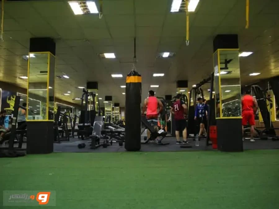 باشگاه بدنسازی آرت فیتنس (Art Fitness Gym)