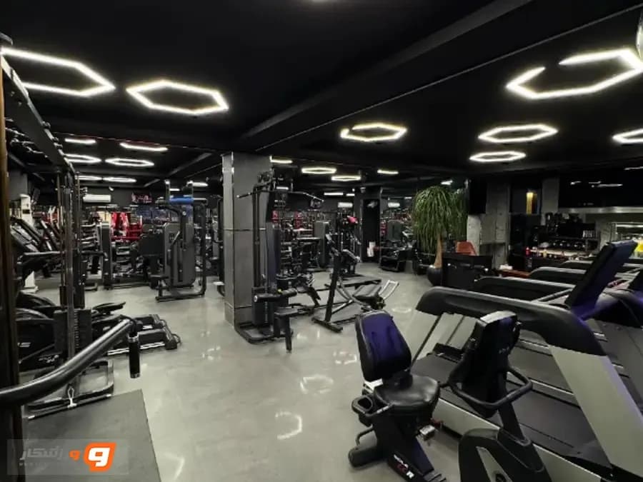 باشگاه آوا وی آی پی (ava vip gym) شعبه آقایان