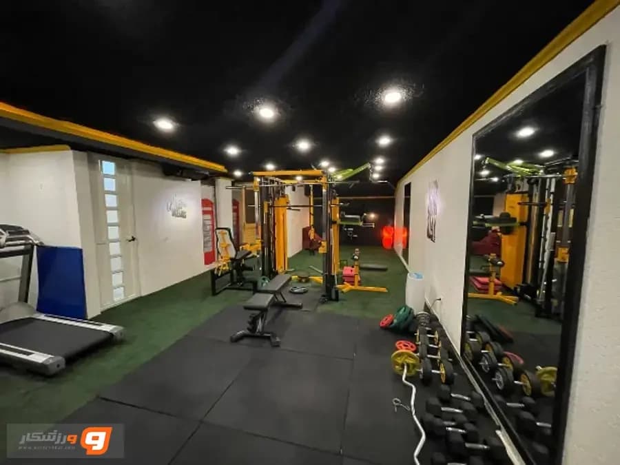 باشگاه ارژنگ پلاس