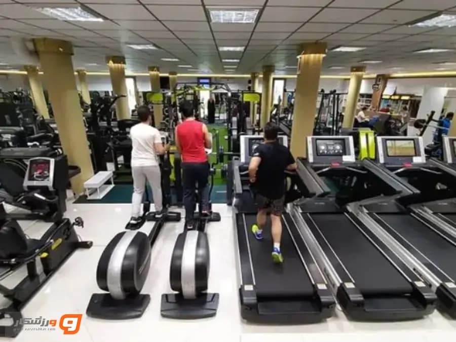 باشگاه بدنسازی قصر