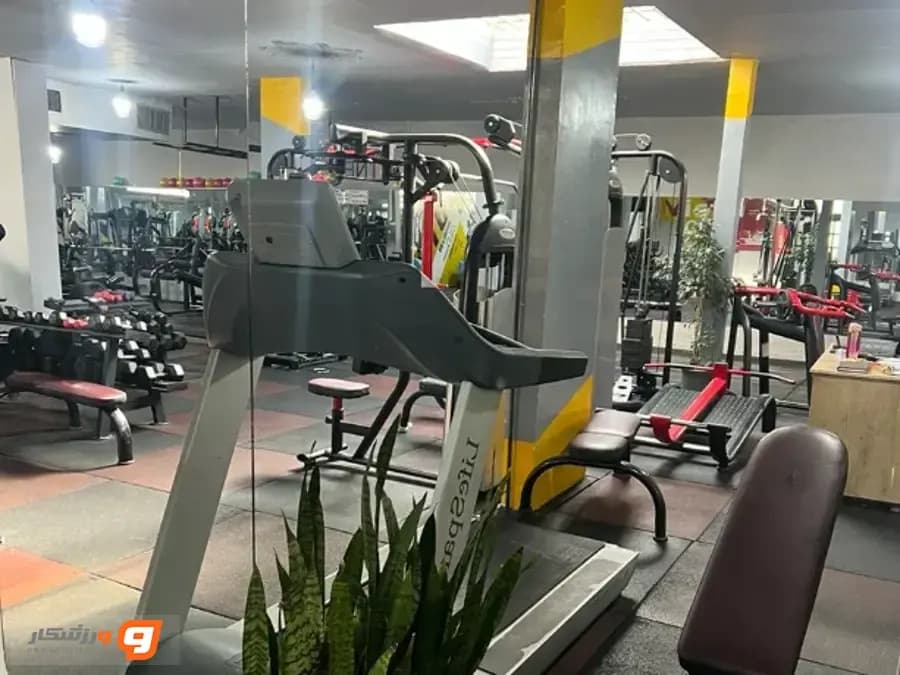 باشگاه بدنسازی ویستا