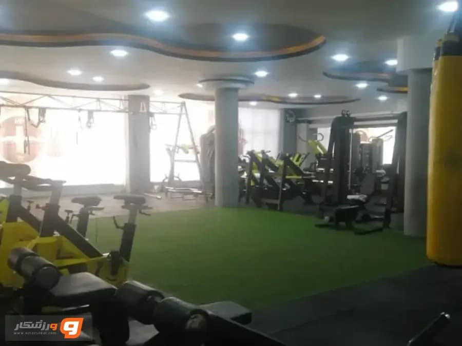 ماسل پلاس (Muscle Plus) شعبه آقایان