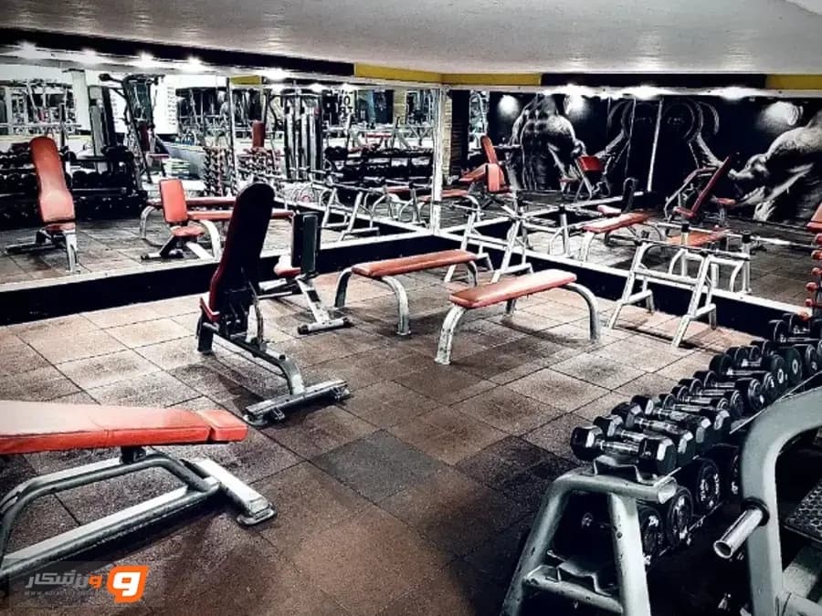باشگاه بدنسازی دلفین