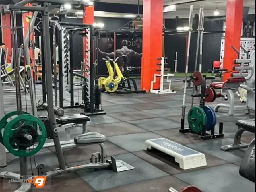 باشگاه فیتنو (Fitnow Gym)