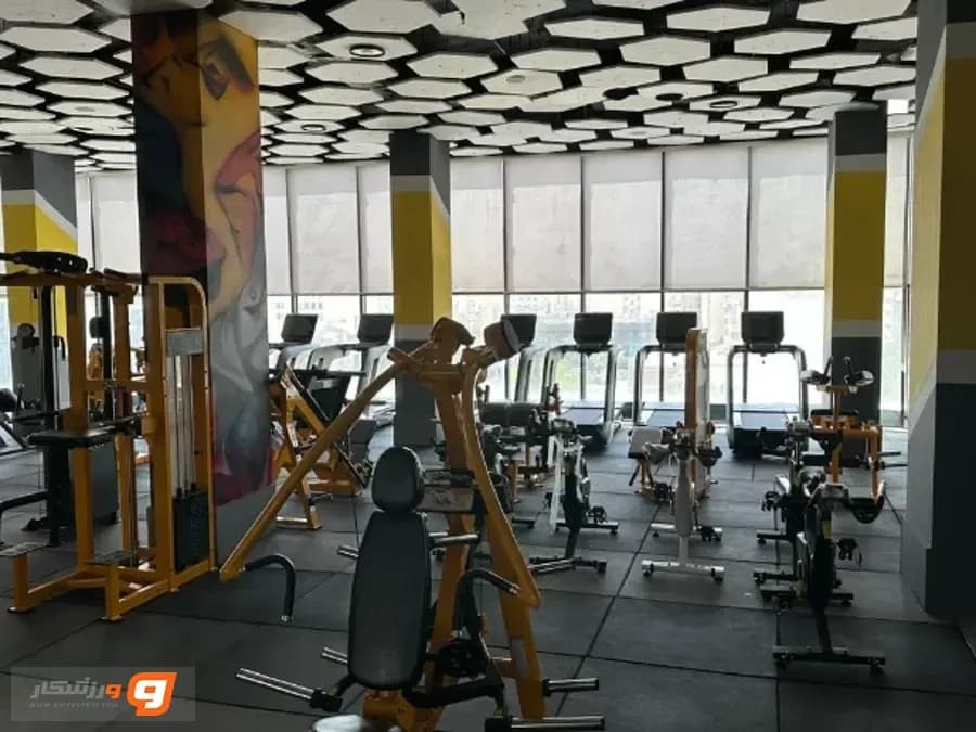 باشگاه فیت گرلز (Fit Girls Club)