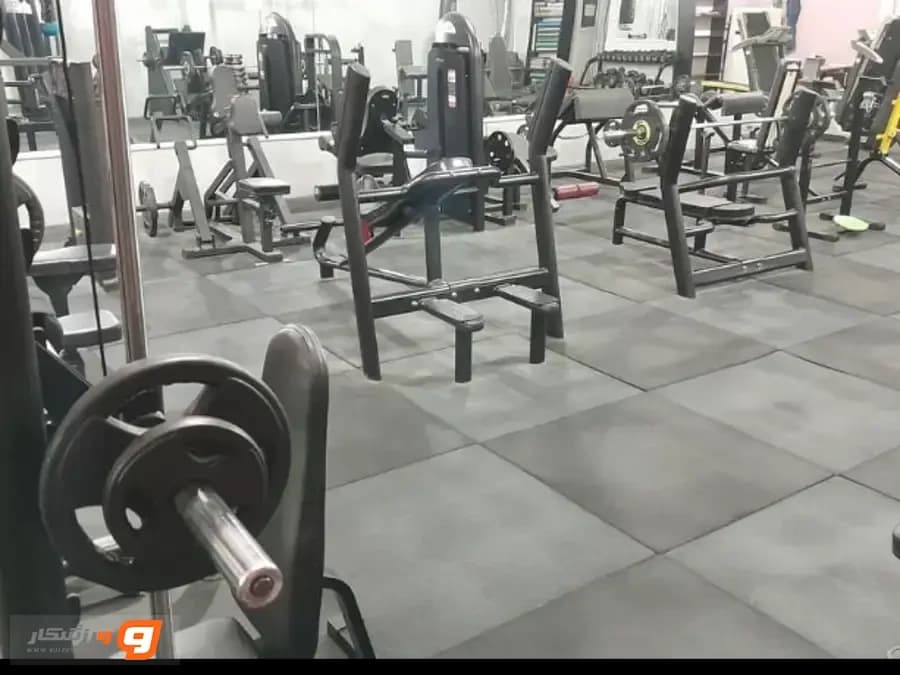 باشگاه ورزشی دی