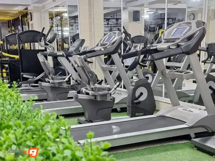 باشگاه ورزشی بزرگ گلها کرج