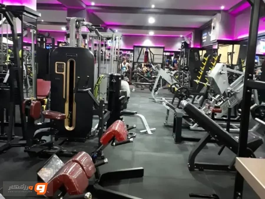 باشگاه پایا در یزد