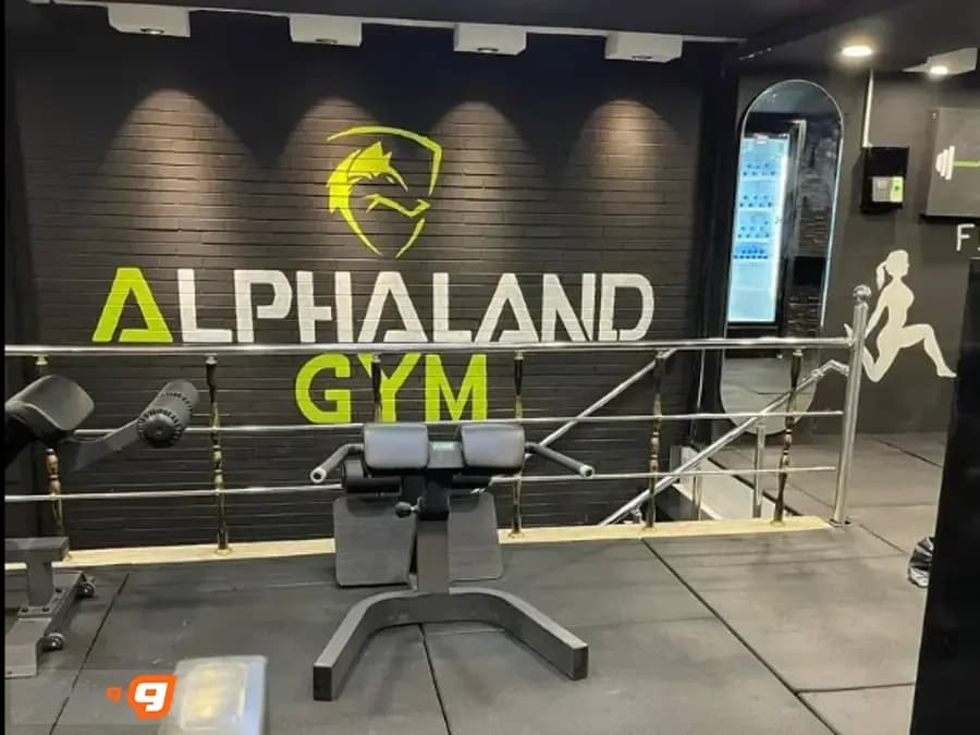 باشگاه آلفا لند (Alpha Land)
