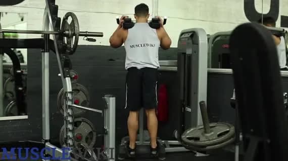 ساق پا ایستاده دستگاه