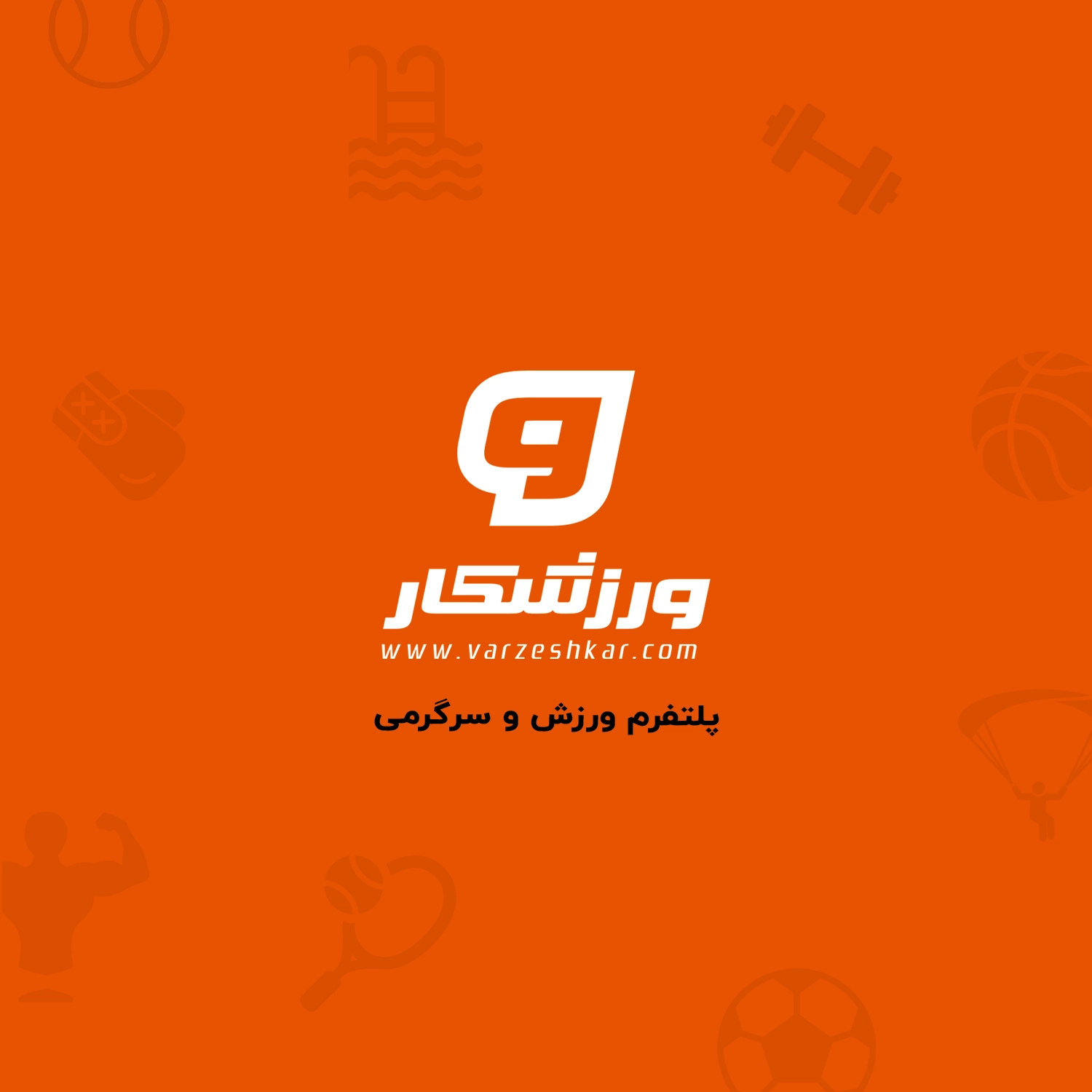 اسکوات هالتر