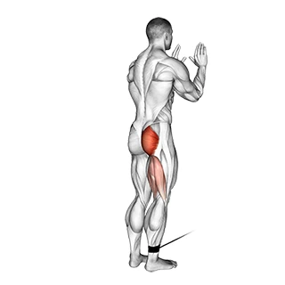اکستنشن لگن ایستاده سیم‌کش