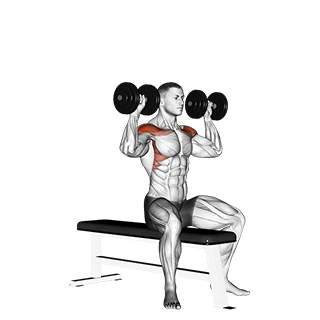 پرس نشسته روی نیمکت