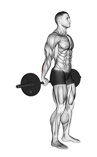 مچ دست هالتر از پشت ایستاده