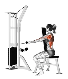 زیربغل سیم‌کش نشسته از جلو